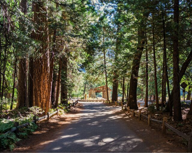 Morning vibes in the valley before the onslaught.